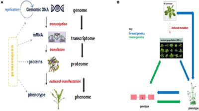 Omics-Facilitated Crop Improvement for Climate Resilience and Superior Nutritive Value